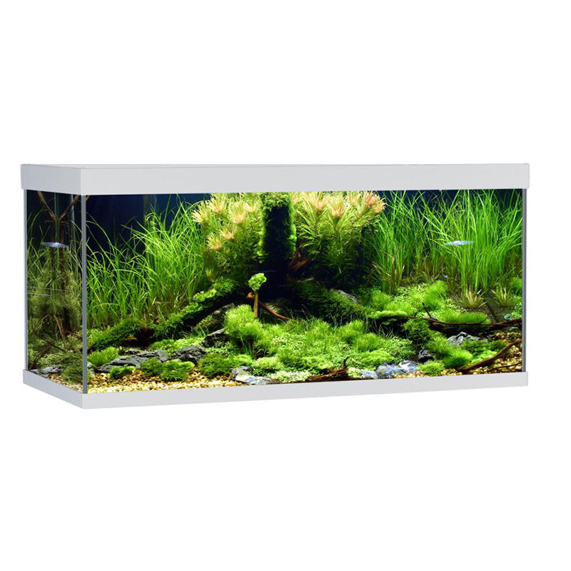 ELEMENT akvarium - Maxi Zoo Danmark