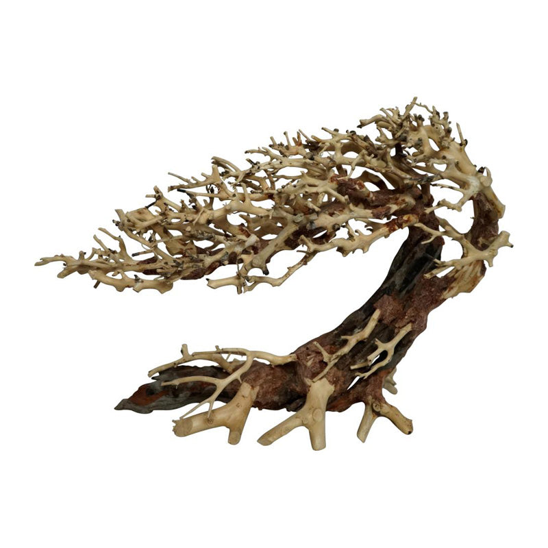 Trærødder Brasilian Tree 23x10x17 cm