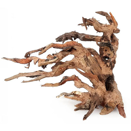 Akvariedek. Bonsai rodm 25x20x14 cm - Maxi Zoo Danmark