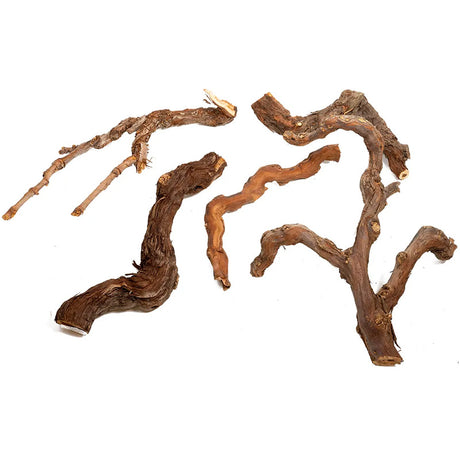 Winewoods 20-40 cm - Maxi Zoo Danmark