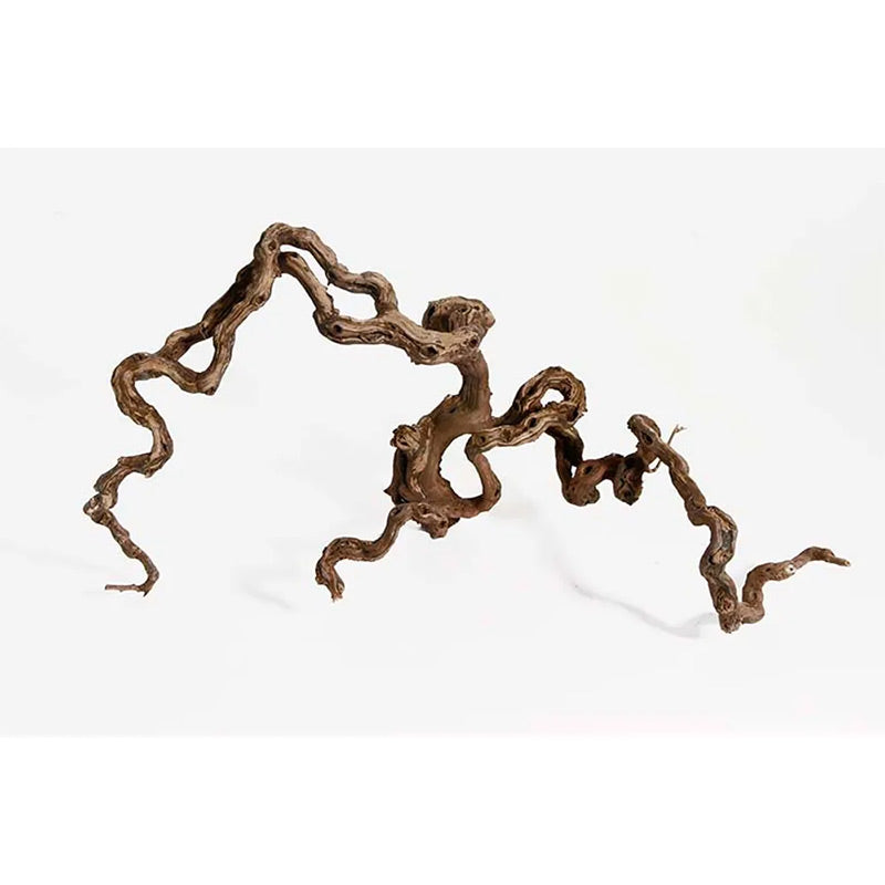 Winewoodm 40-70 cm - Maxi Zoo Danmark