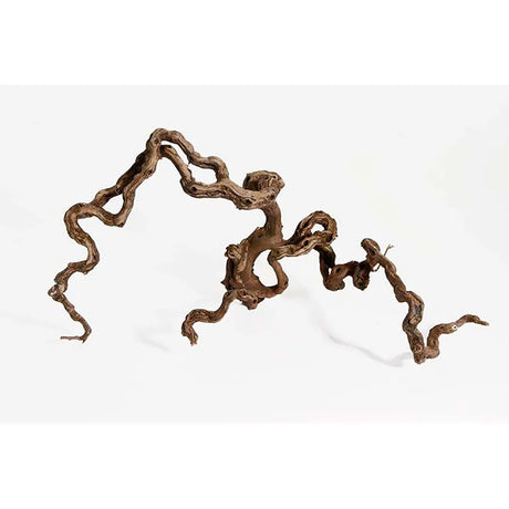 Winewoodm 40-70 cm - Maxi Zoo Danmark