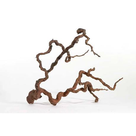 Winewoodl 70-100 cm - Maxi Zoo Danmark