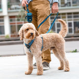Comfort Walk Air sele Hunting-Green - Maxi Zoo Danmark