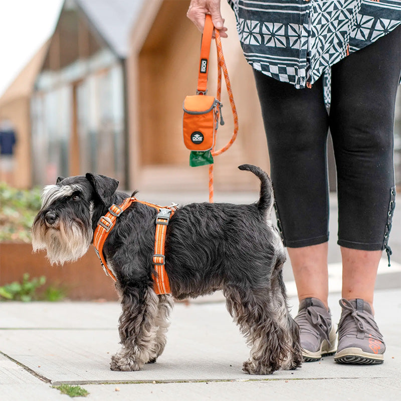 Comfort Walk Air sele Hunting-Green - Maxi Zoo Danmark