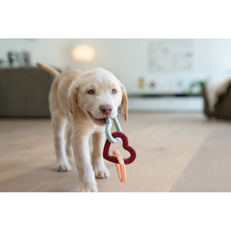 Bidering Pepe & Kitty - Maxi Zoo Danmark