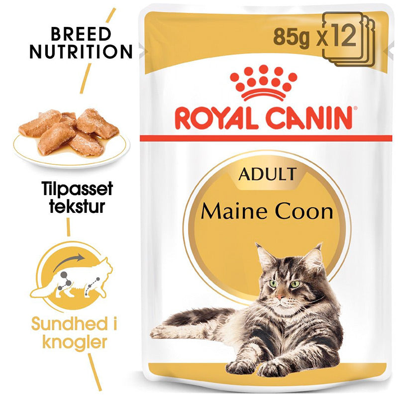 Adult Paté, menuboks pouch Maine Coon, 85 g