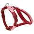 Nylon H-sele Classic - Maxi Zoo Danmark