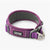 Purple-Passion