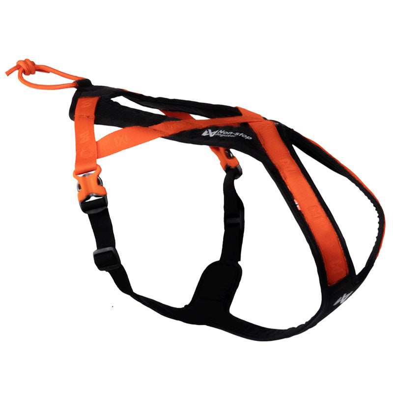 Hundesele Rush sort & orange