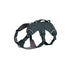 Web Master sele XXS Basalt Grey - Maxi Zoo Danmark