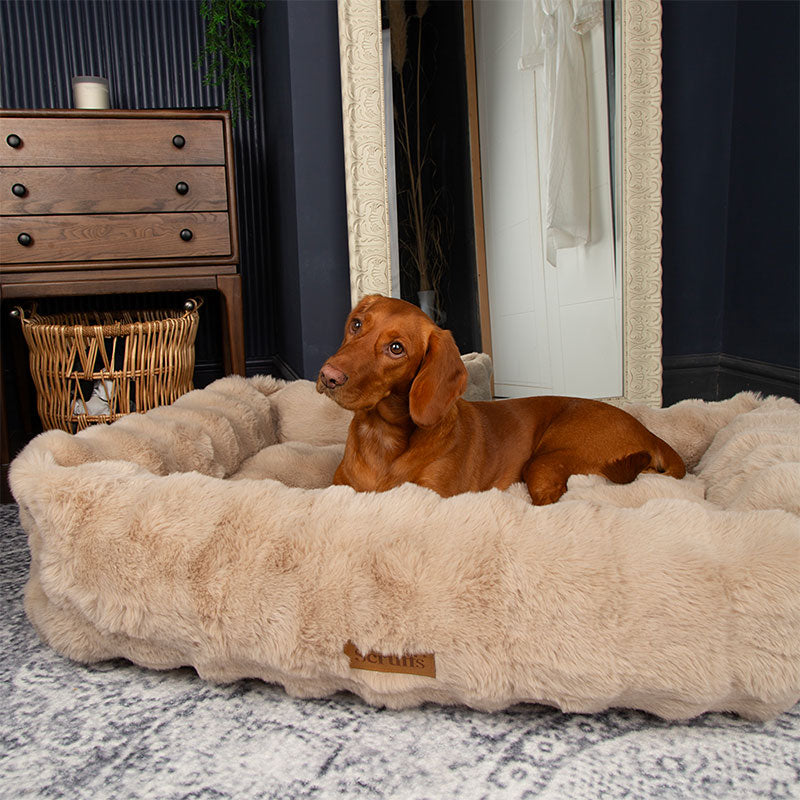 Alpine Box Bed Champagne - Maxi Zoo Danmark