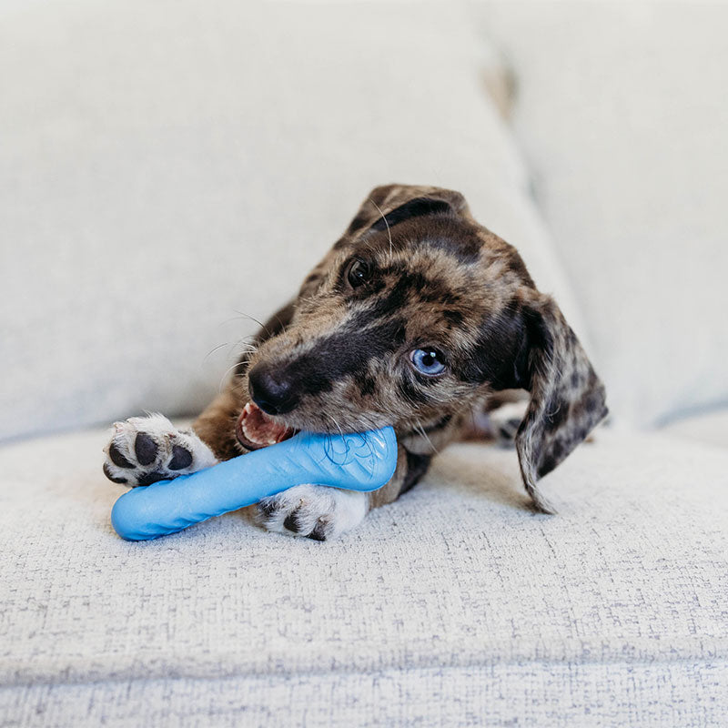 Puppy Wishbone 2-pak