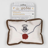 Hogwards invitation 20x15x5 cm