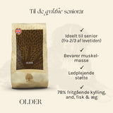 Senior Older