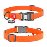 Halsbånd WP orange m/QRkode - 20 mm, 28-40 cm