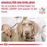 VHN Derma Hypoallergenic Small 3,5 kg