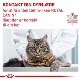 VHN Urinary S/O 3,5 kg