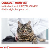 VHN Gastrointesti.Fibre Resp. 4 kg