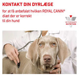 VHN Derma Hypoallergenic Can 400g