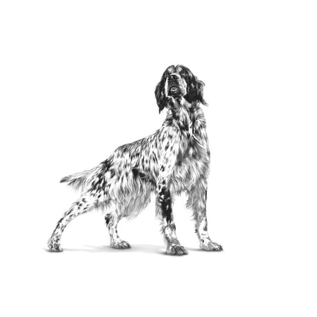 VHN Vital Early Renal 2 kg