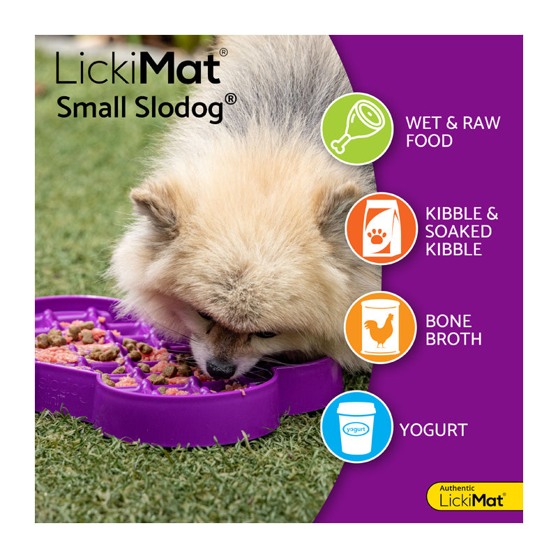 Slikkemåtte Small Slodog turkis