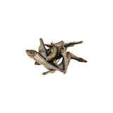 Iceland Dried Whole Herring 70 g