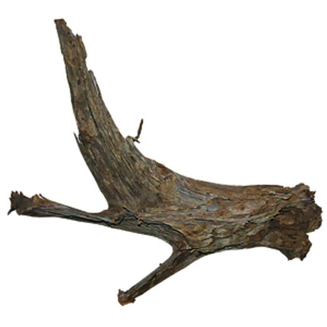 Trærod - Mangrovel ca. 30-40 cm - Maxi Zoo Danmark