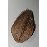 Jbl Nano-Catappa Vandplejemiddrækkevidde 300 l - Maxi Zoo Danmark