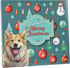 Adventskalender hund m/snacks