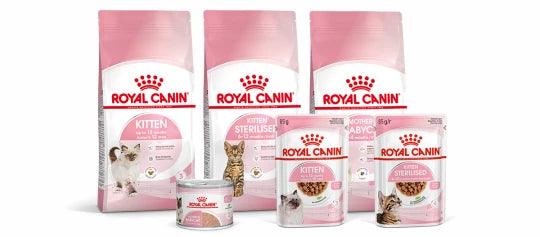 Royal Canin til killing i Maxi Zoo
