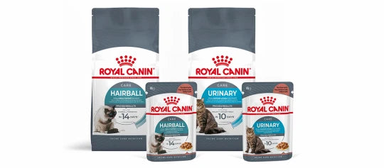 Royal Canin Care til katte med specielle behov i Maxi Zoo