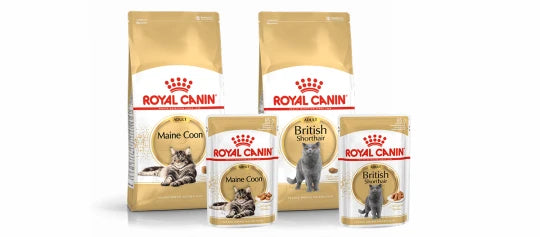Royal Canin til racekatte i Maxi Zoo