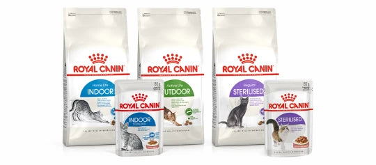 Royal Canin til steriliserede katte, aktive katte og indekatte i Maxi Zoo