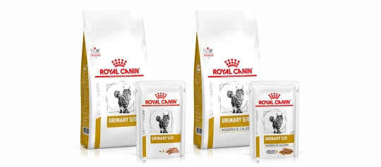 Royal Canin Veterinary Urinary til katte med urinsvejsproblemer i Maxi Zoo