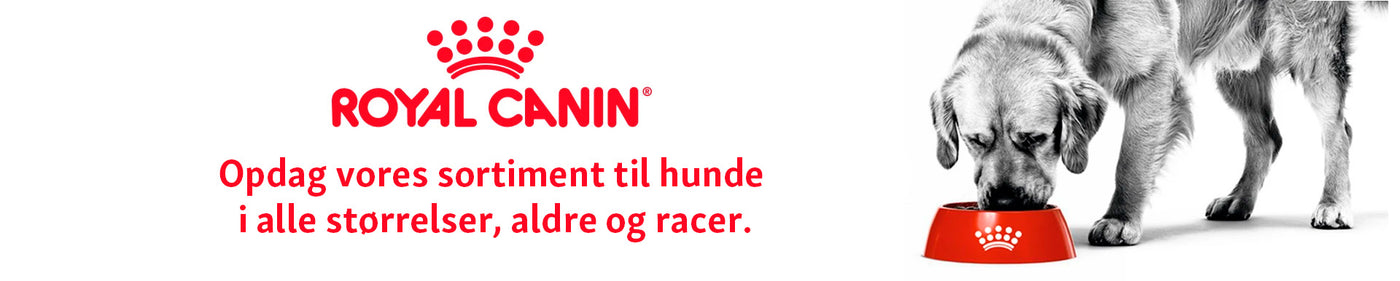 Royal Canin til hund i Maxi Zoo