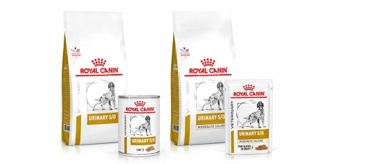 Royal Canin urinary foder til hund
