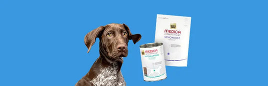 Diætfoder til hund