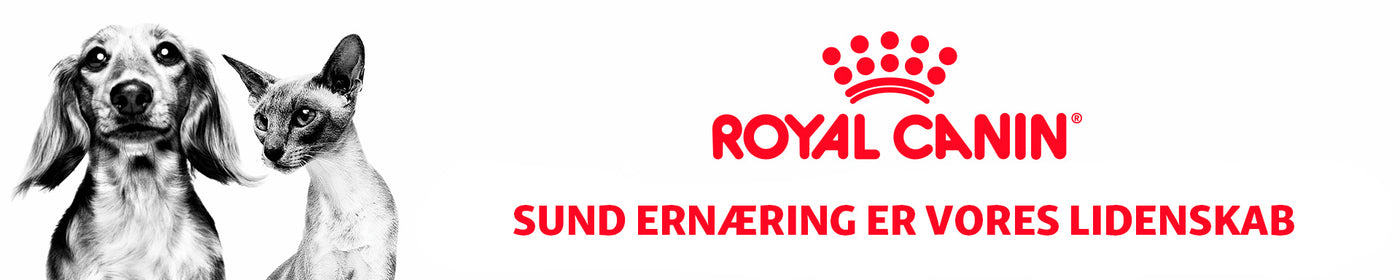 Royal Canin Veterinary til hund & kat i Maxi Zoo