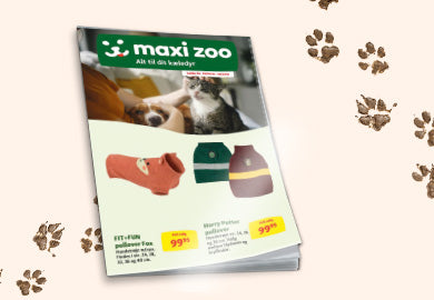Maxi Zoo efterårsavis - fyldt med til dit kæledyr