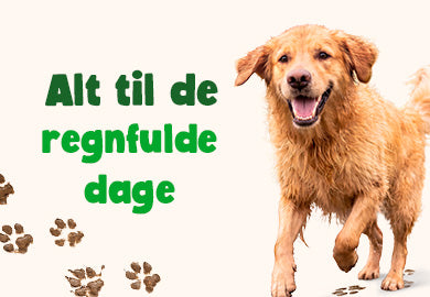 regnvejr med hund - Maxi Zoo