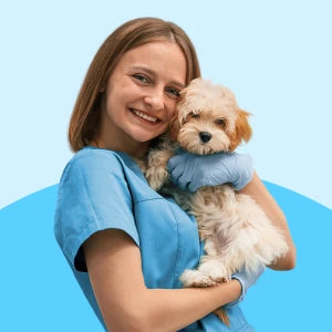 Veterinær og sundhed til hund